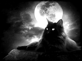 Кот и Луна - картинки для гравировки